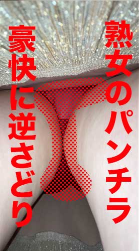 【正直オススメしないけど！】おばさんのパンチラ見たい人いる？