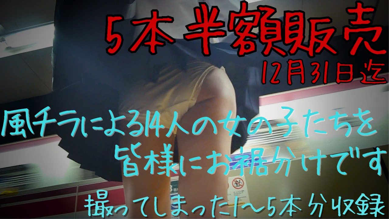 【再販】【4日間限定】5本セット半額販売　撮ってしまった01～05　14人の女の子たち収録