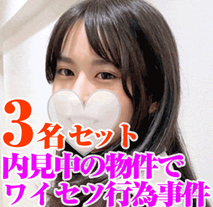 ※独自入手【不動産痴かん】賃貸マンション内見中ワイセツ事件セット②