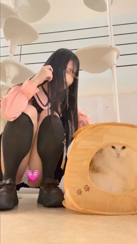 超ミニスカ地雷系の服着て猫カフェでぱんちら撮ってきたよ(ღˇᴗˇ)｡o